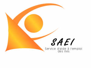 logo_SAEdesiles